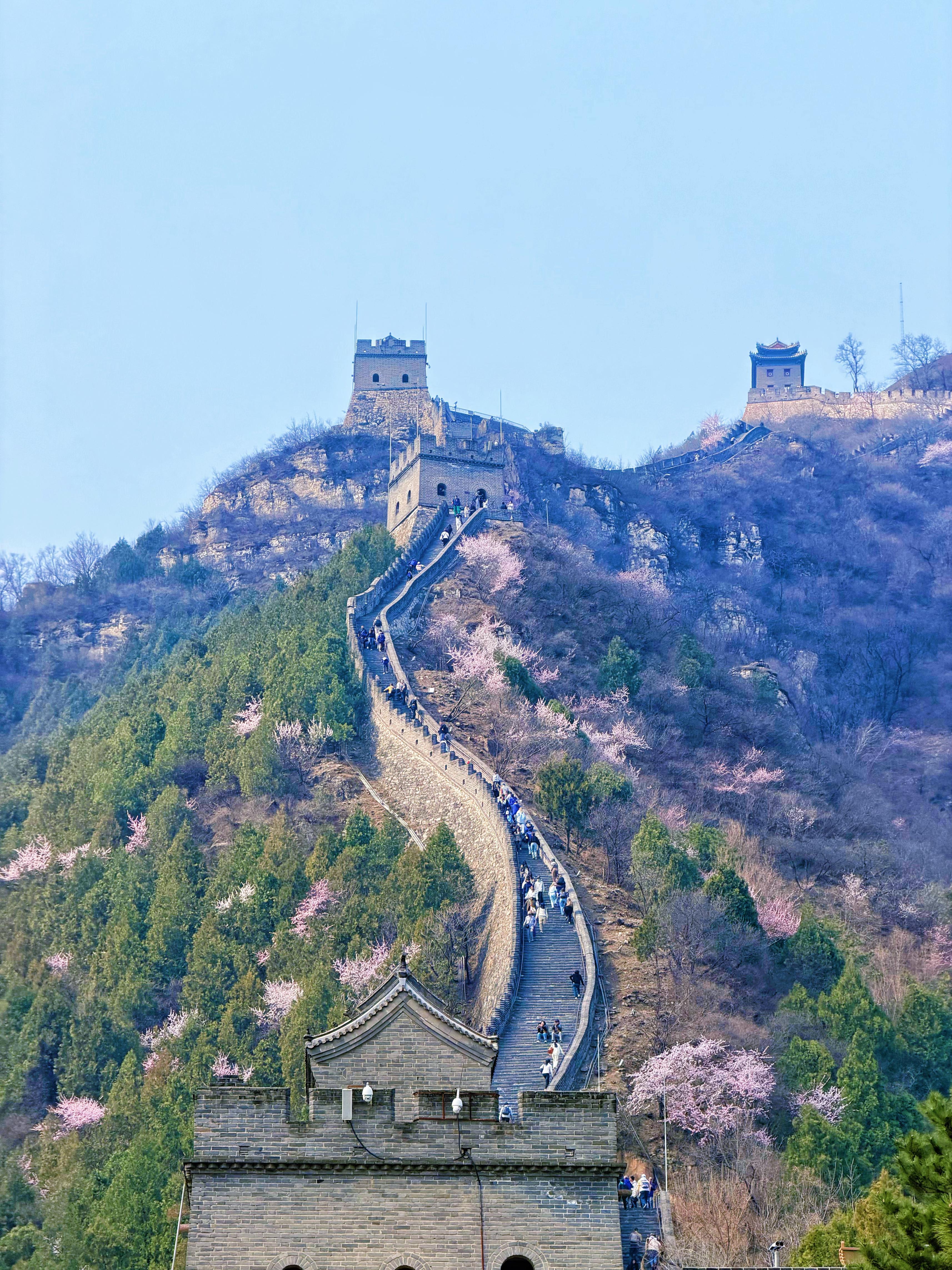 長(zhǎng)城花海上線！北京六段長(zhǎng)城春日賞花全攻略來(lái)了