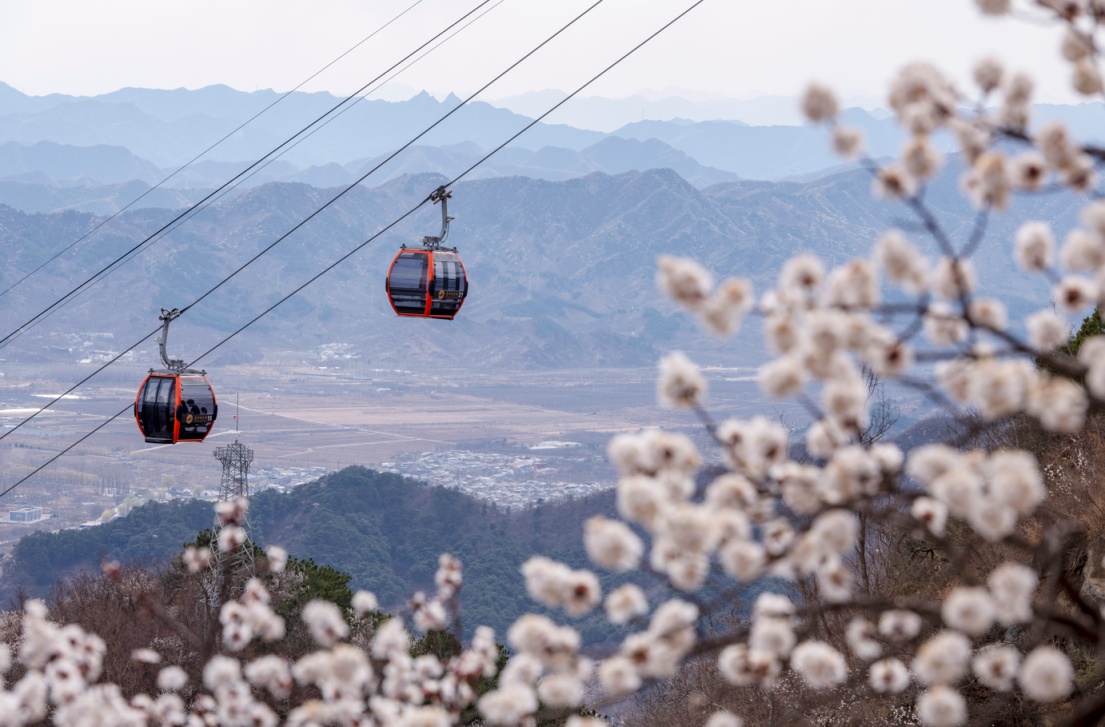 長(zhǎng)城花海上線！北京六段長(zhǎng)城春日賞花全攻略來(lái)了