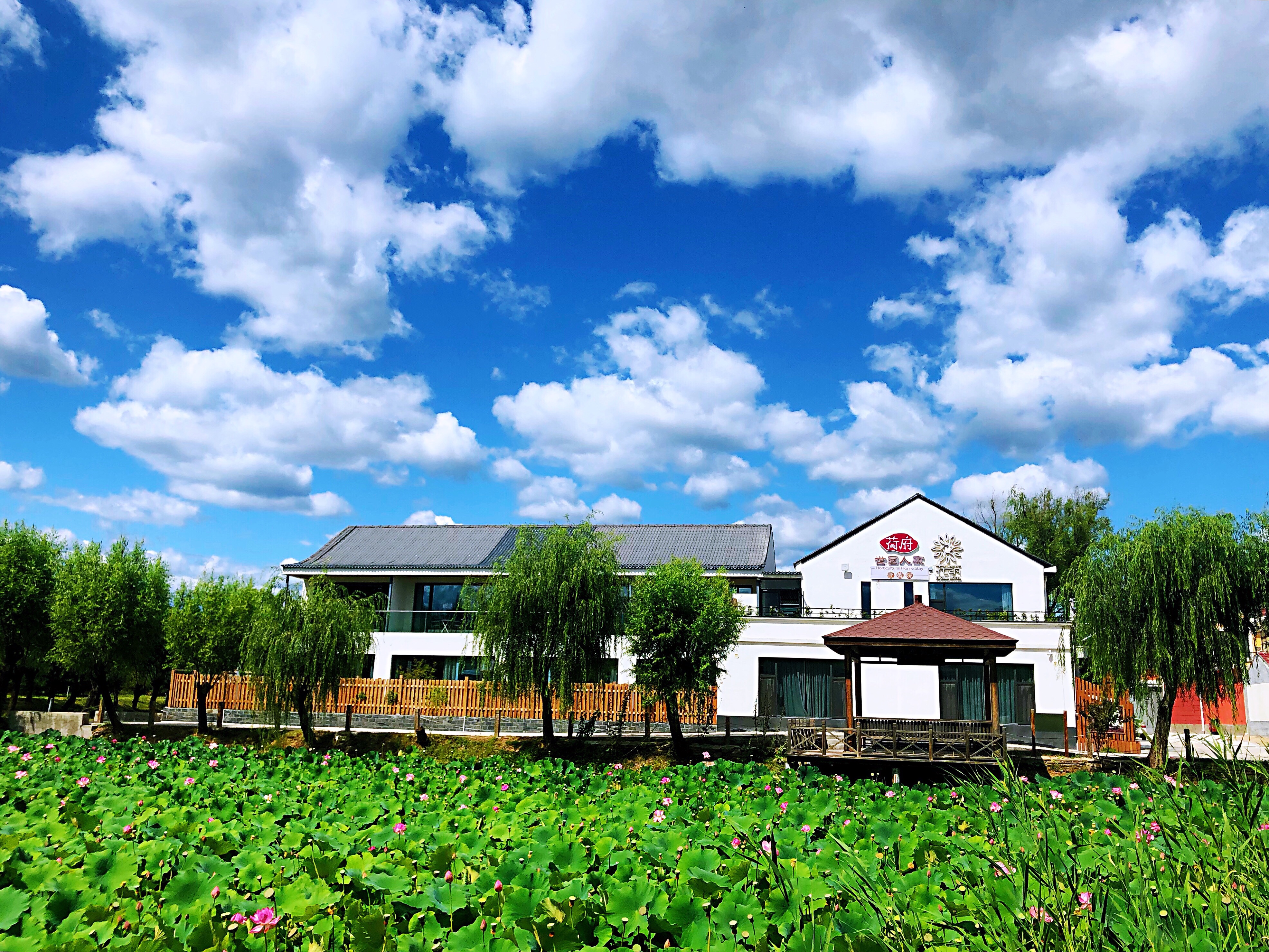 線路四住宿荷府精品民宿