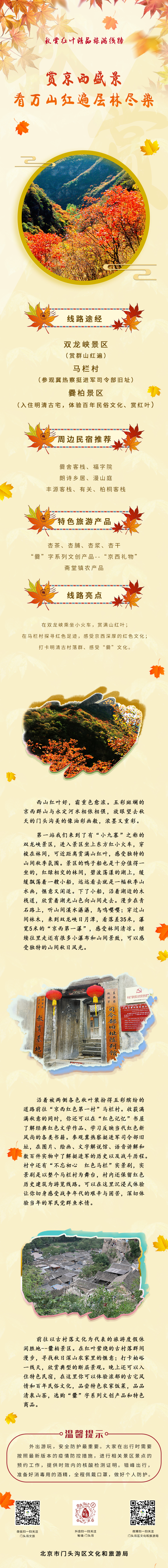 賞紅葉線(xiàn)路2