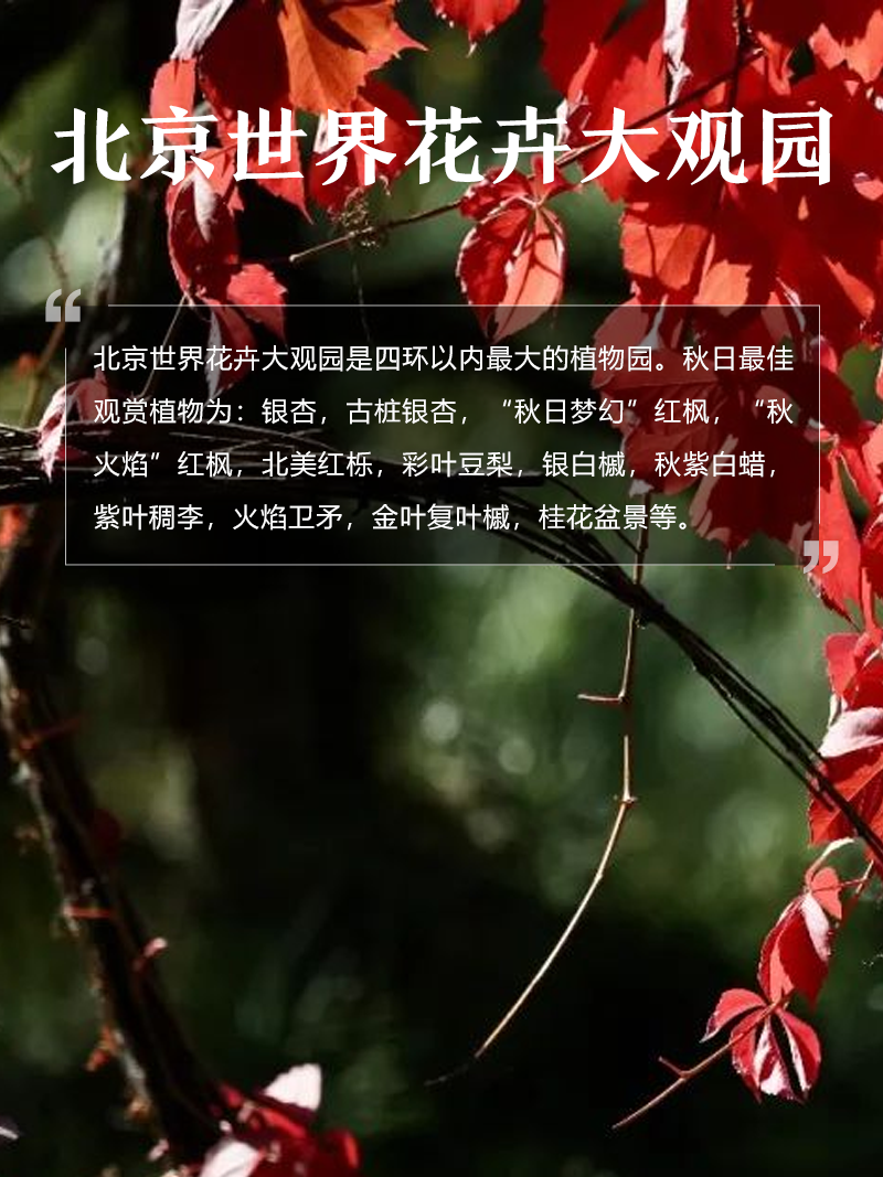 北京世界花卉大觀園