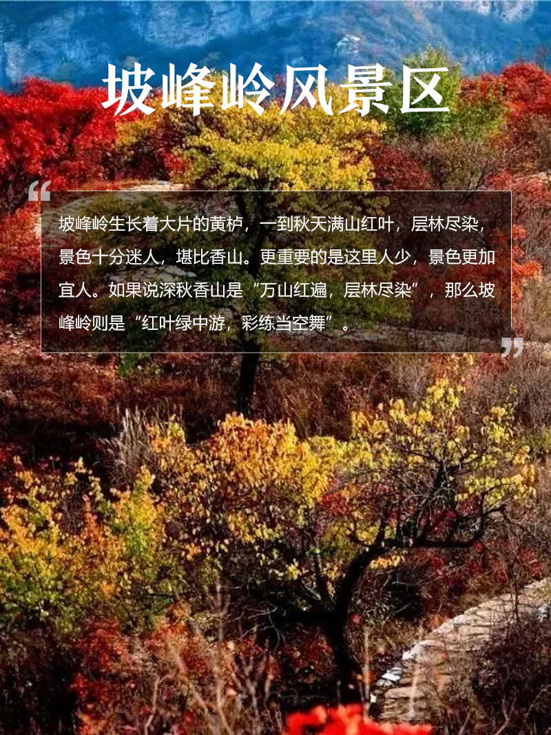 坡峰嶺風景區(qū)