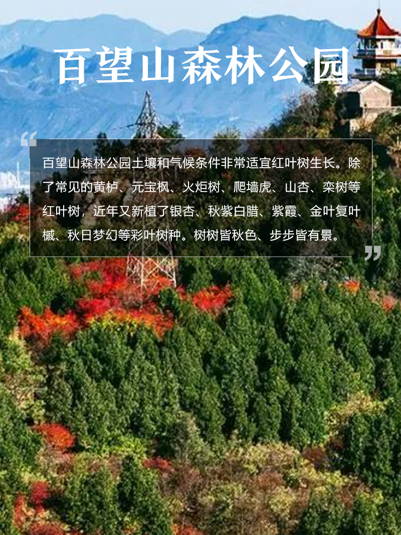 百望山森林公園