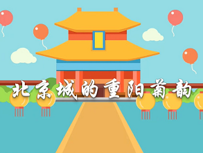 北京城的重陽菊韻 北京城的重陽菊韻