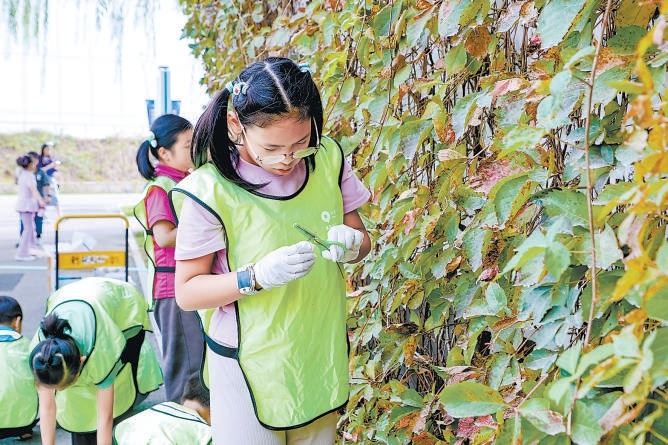 孩子們?cè)诒本┛茖W(xué)中心參與戶外科學(xué)教育活動(dòng)。