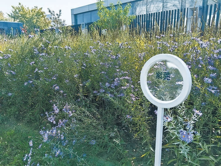 花園各處巧妙設(shè)置展示牌，向參觀者傳播花卉種類等知識(shí)。