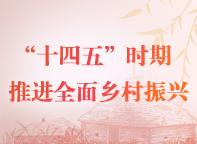 “十四五”時期推進全面鄉(xiāng)村振興