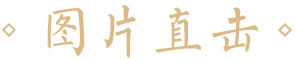 圖片直擊-seo