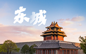 東城區(qū)