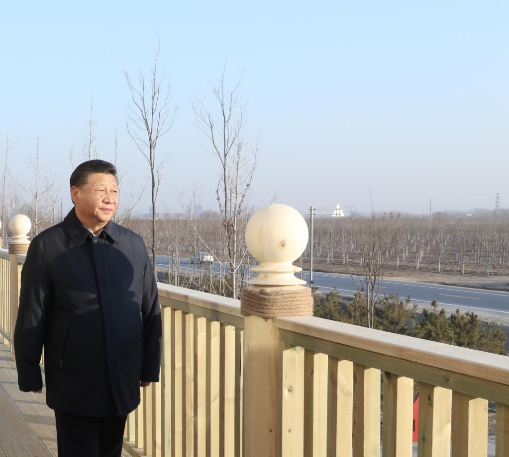 2019年1月16日，在河北雄安新區(qū)“千年秀林”大清河片林一區(qū)造林區(qū)域，習(xí)近平總書記登上秀林驛站二層平臺遠(yuǎn)眺林區(qū)全貌。
