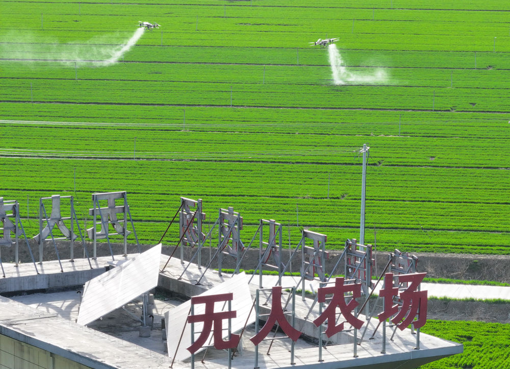 農(nóng)業(yè)無人機(jī)在安徽省亳州市譙城區(qū)趙橋鄉(xiāng)雙樓村的無人農(nóng)場(chǎng)進(jìn)行自主作業(yè)（2024年3月19日攝，無人機(jī)照片）。