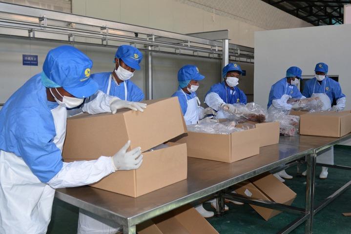 2024年9月11日，在馬達加斯加首都塔那那利佛，當?shù)毓と税b即將出口中國的羊肉。