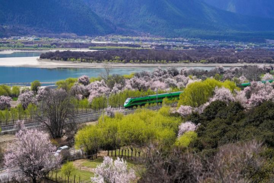 2025年4月2日，復興號列車穿行在拉林鐵路林芝段。