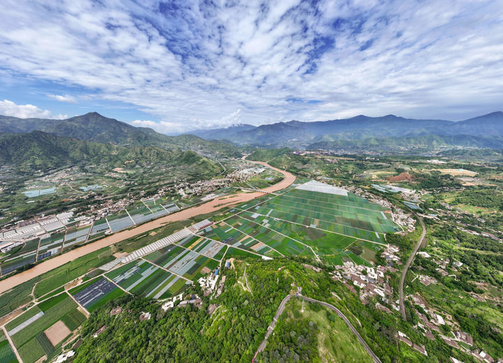 2025年7月9日拍攝的四川省攀枝花市米易縣撒蓮鎮(zhèn)安全村高標準農(nóng)田（無人機照片）。