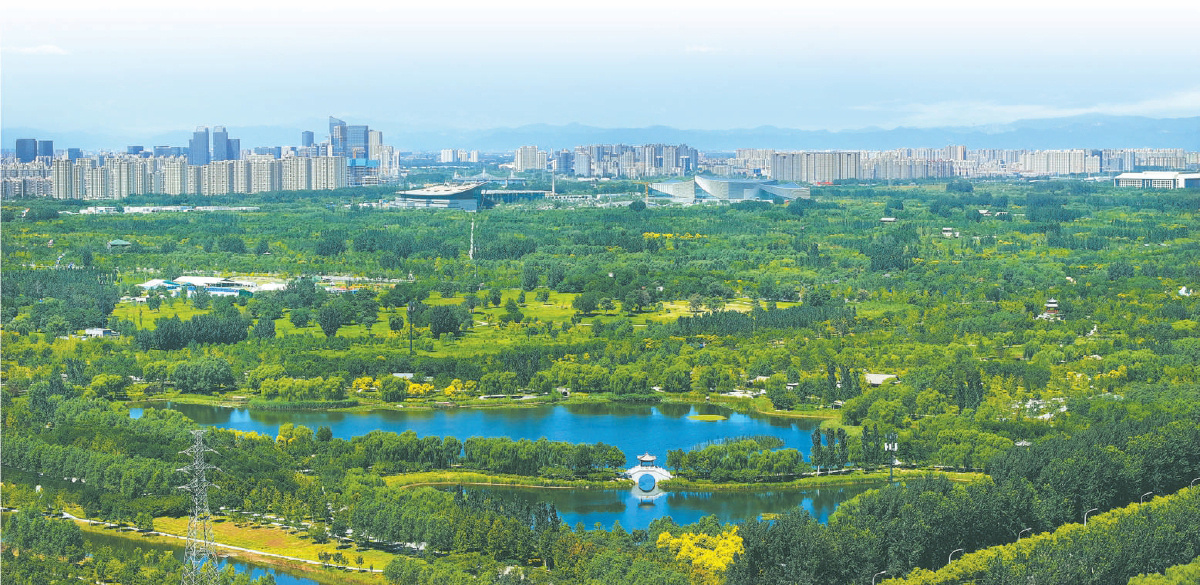 從城市綠心森林公園遠(yuǎn)眺，三大文化建筑與副中心城區(qū)既和諧共生又異彩紛呈，魅力無(wú)限。