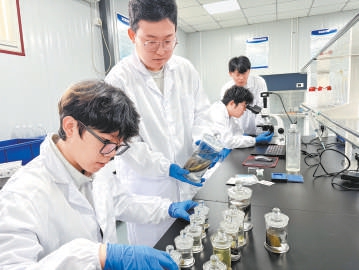 學生們正在實驗室內(nèi)做研究。