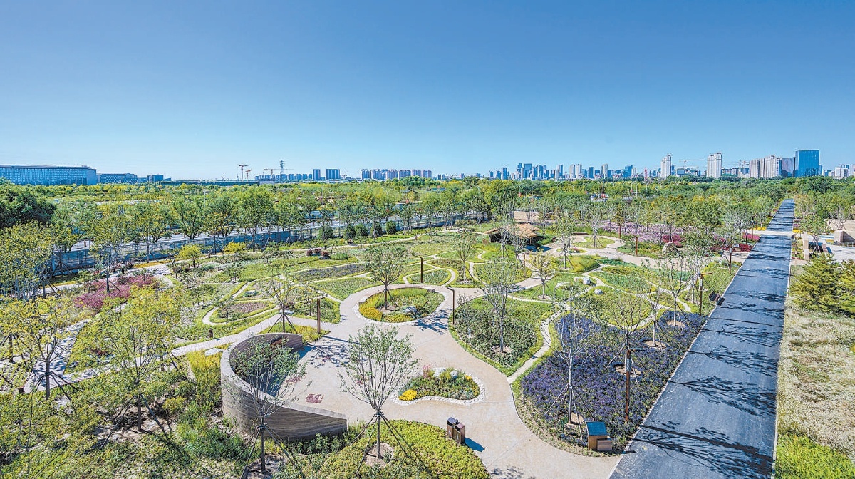 將于2025年5月對公眾開放的路縣故城遺址公園。