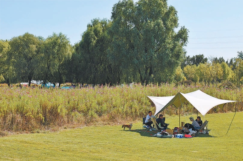 游人在綠心公園帳篷區(qū)享受閑暇時光。