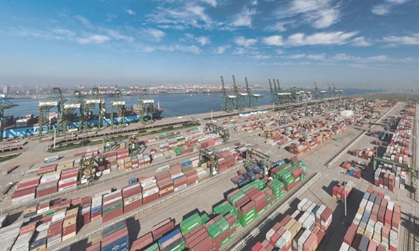 加強知識產(chǎn)權(quán)保護 促進高效轉(zhuǎn)化運用