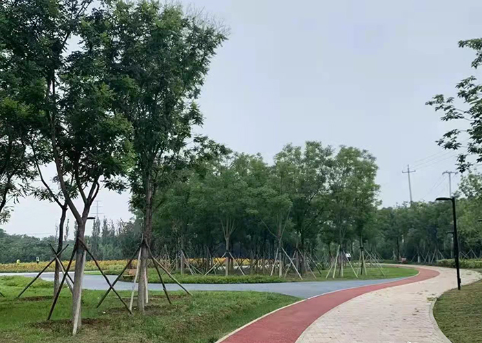 疏整促剪影丨變化天天看：長安街西延 這處公園點綴京西