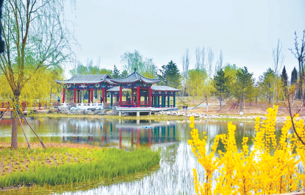 大興區(qū)舊宮城市森林春色宜人。