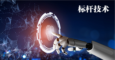 標桿技術(shù)