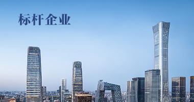 標桿企業(yè)