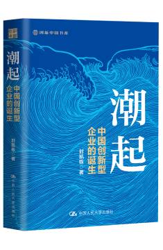 潮起：中國創(chuàng)新型企業(yè)的誕生