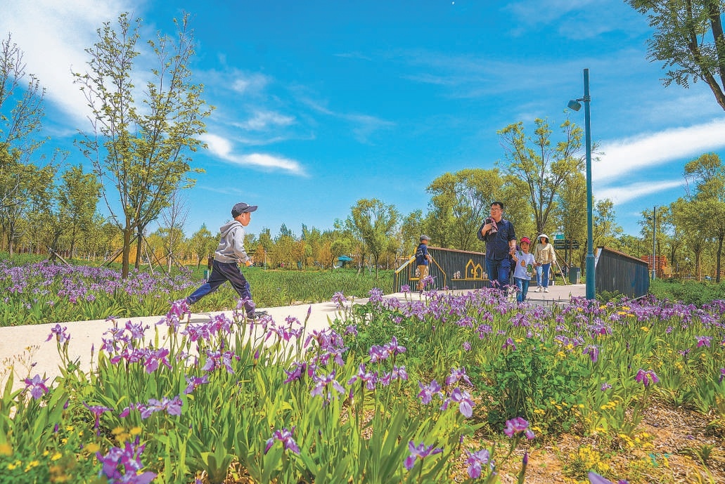 入夏以來，溫榆河公園綠意盎然，市民在公園內(nèi)休閑娛樂，十分愜意